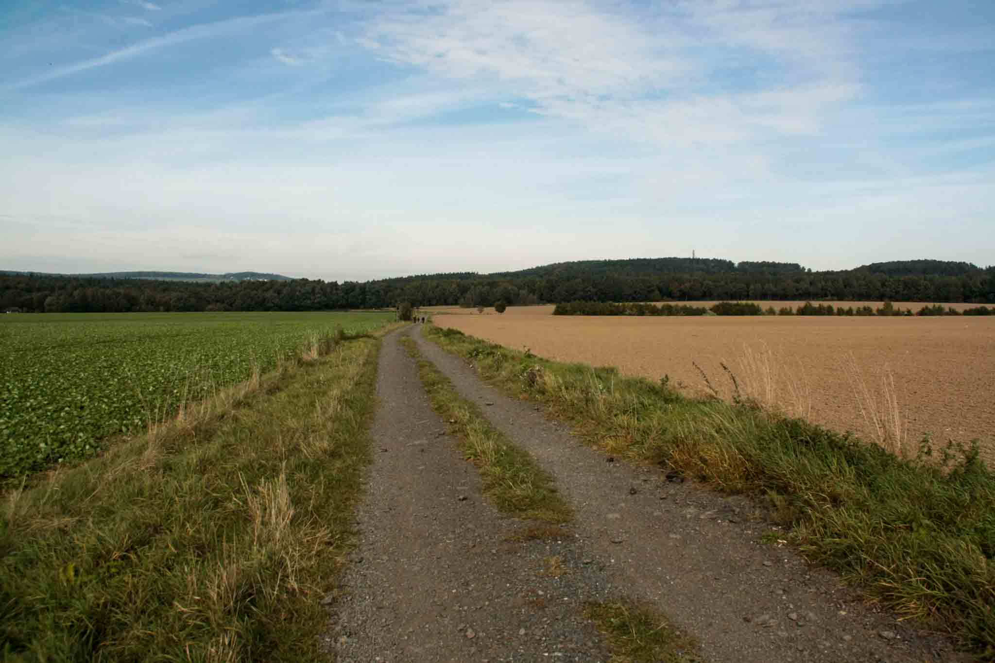 14-malerweg-field-road