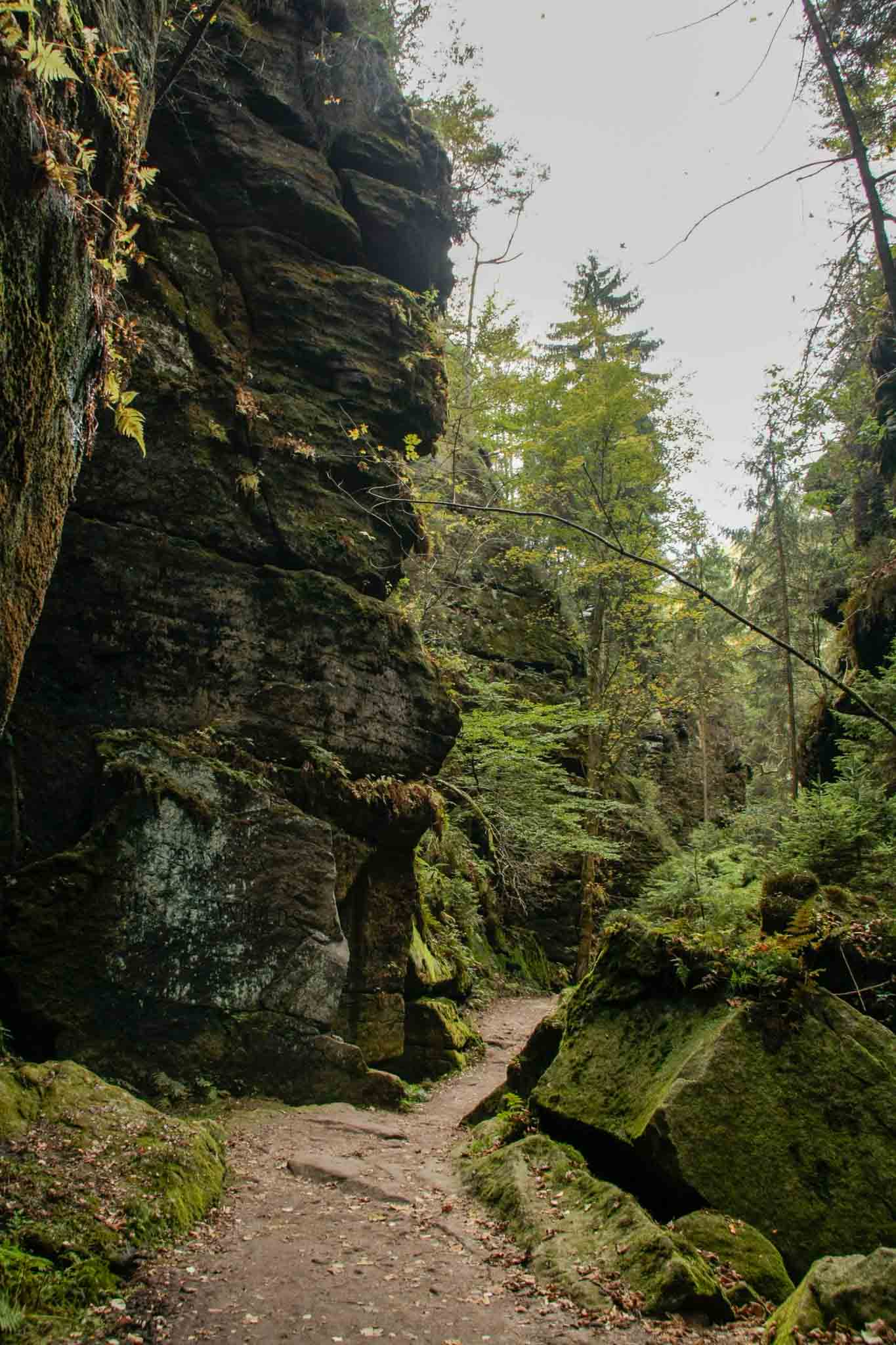 18-malerweg-teufelsgrund-sandstone-gorge