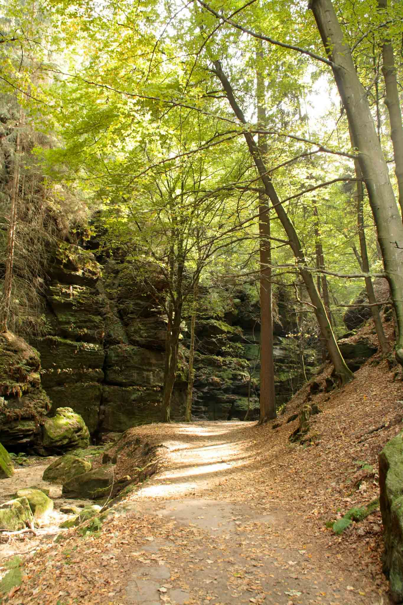 20-malerweg-teufelsgrund-sandstone-gorge