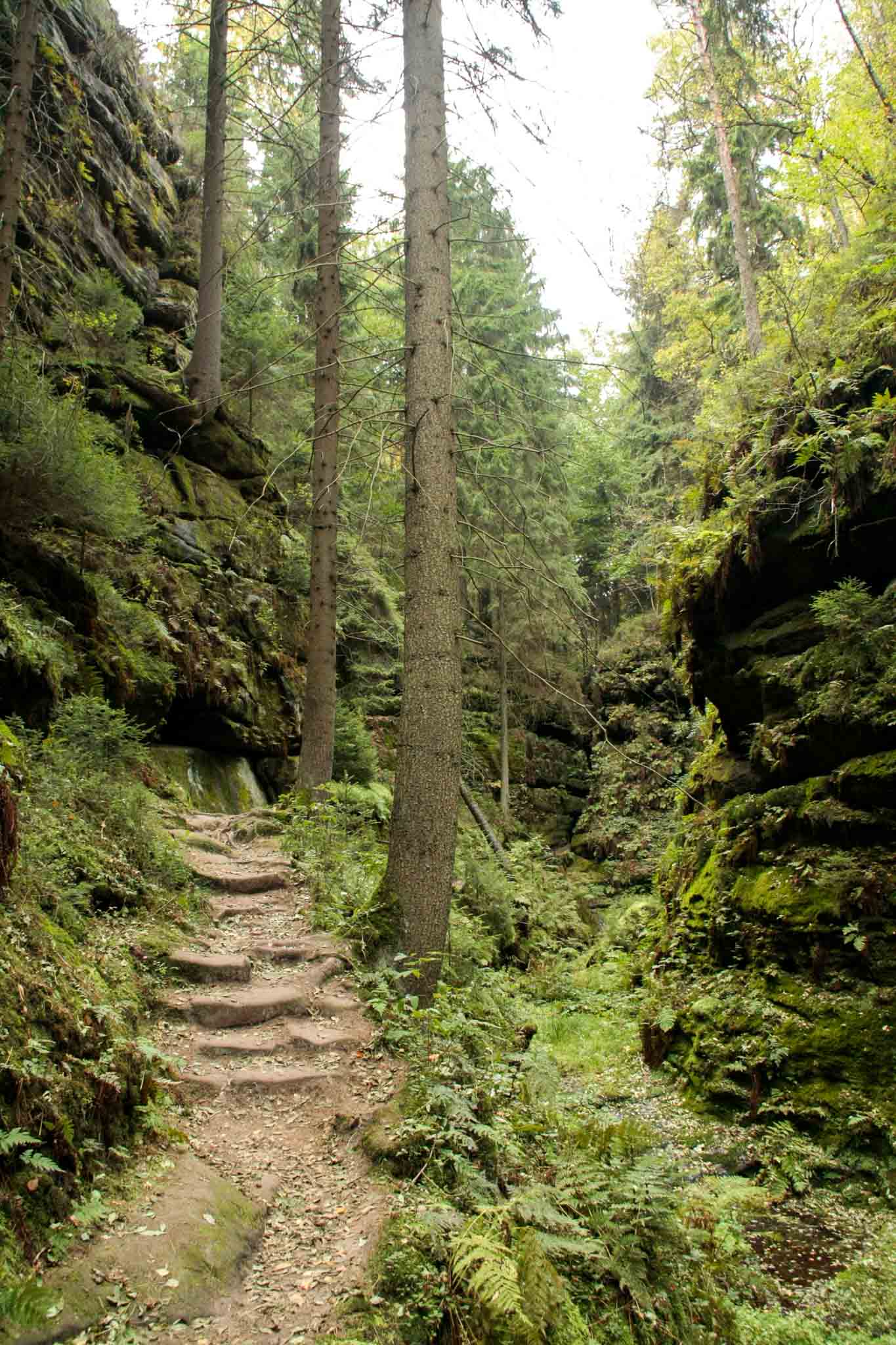 21-malerweg-teufelsgrund-sandstone-gorge