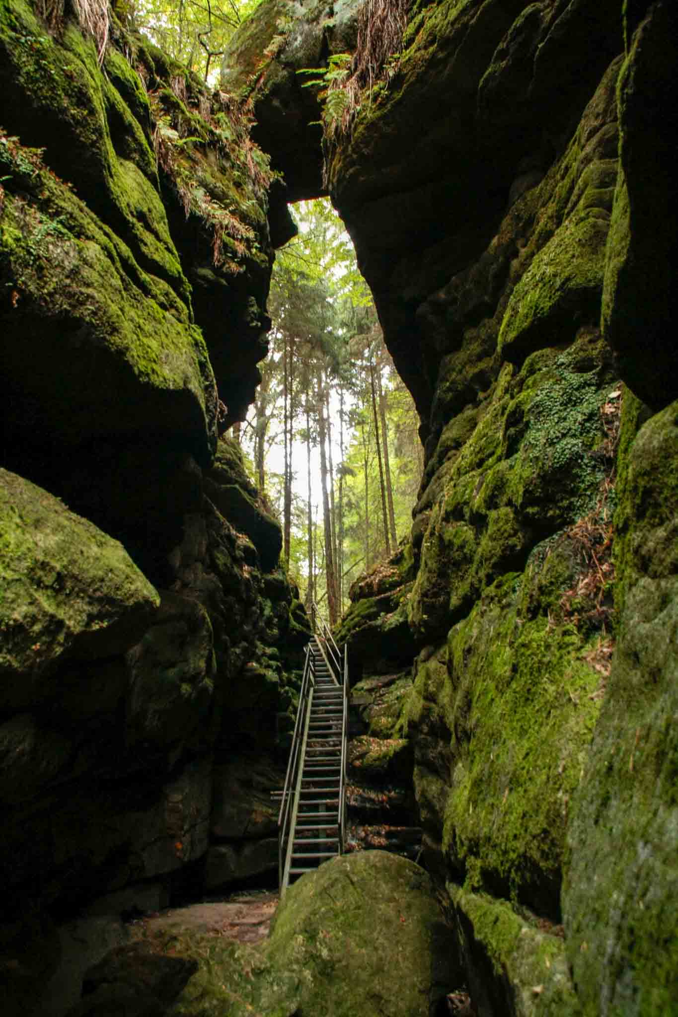 22-malerweg-staircase-through-a-archway-in-teufelsgrund-sandstone-gorge