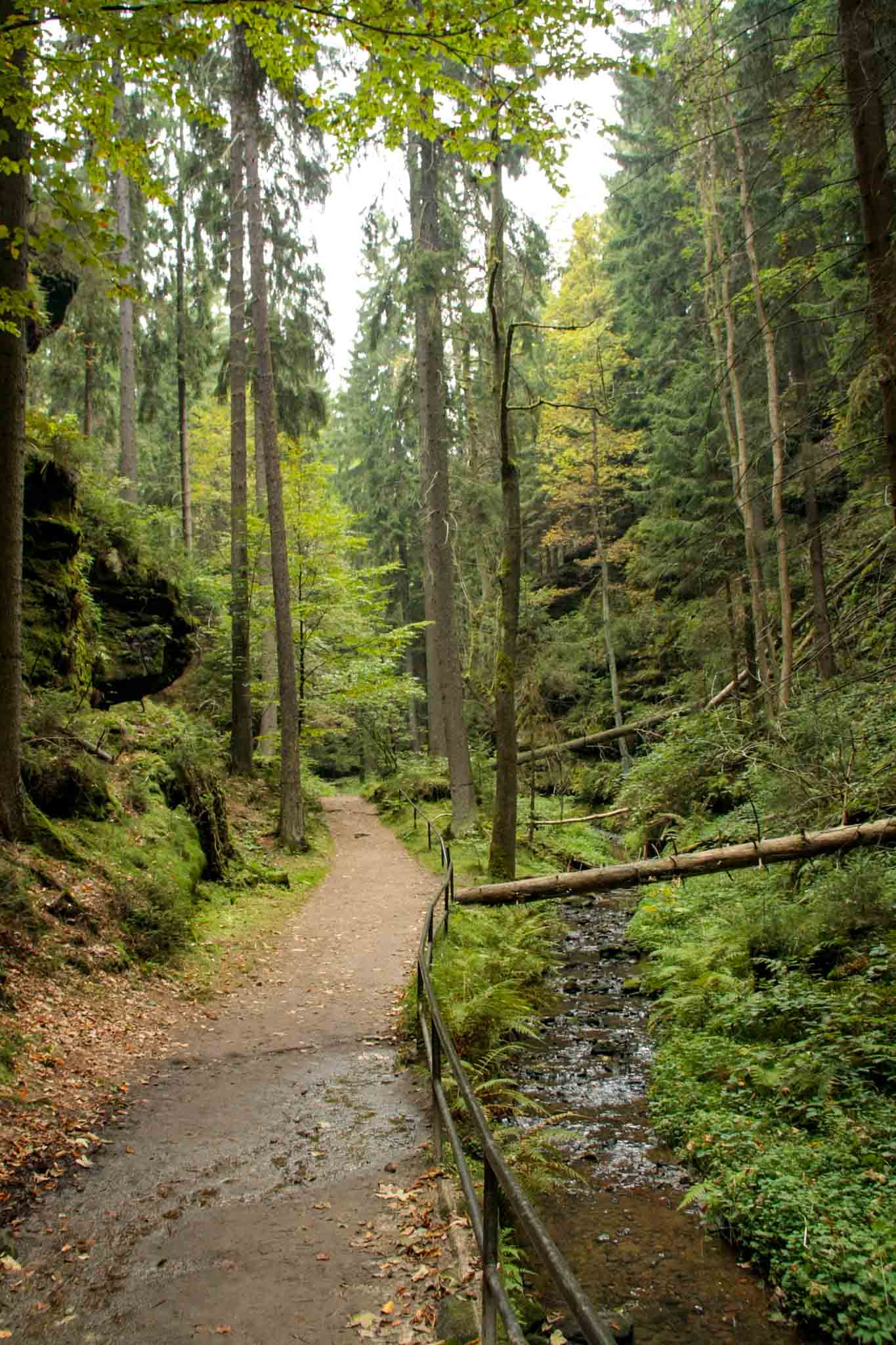 day 2 - Bastei Brücke, forrest trail