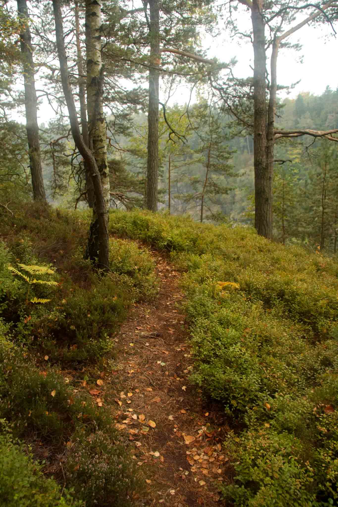Malerweg Day 3 — high trail